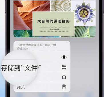 兴安apple维修中心分享iPhone文件应用中存储和找到下载文件