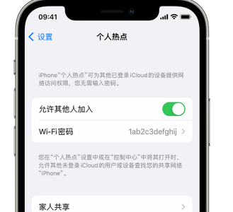 兴安apple服务站点分享iPhone上个人热点丢失了怎么办