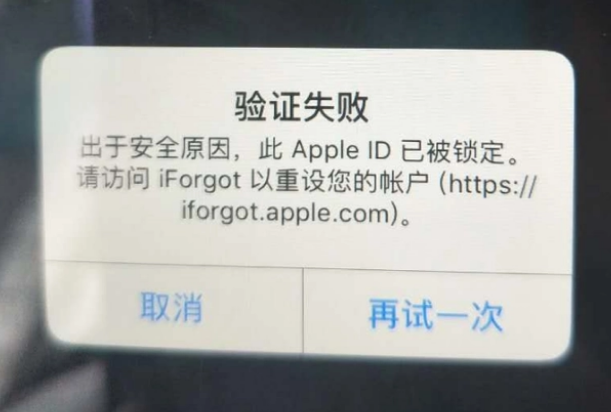 兴安iPhone维修分享iPhone上正常登录或使用AppleID怎么办 