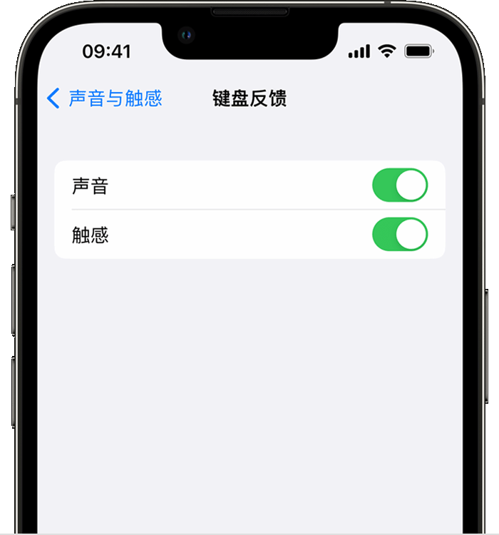 兴安苹果14维修店分享如何在 iPhone 14 机型中使用触感键盘 