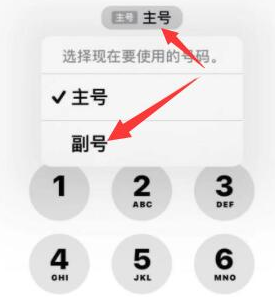 兴安苹果14维修店分享iPhone 14 Pro Max使用副卡打电话的方法 