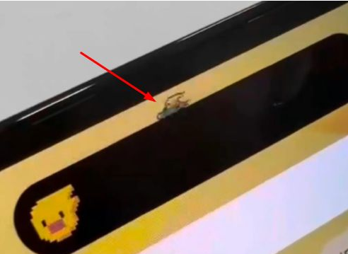 兴安苹果14维修分享iPhone 14 Pro Max灵动岛怎么养宠物 