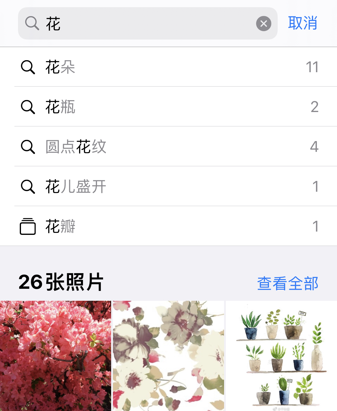 兴安苹果手机维修分享iPhone 小技巧 