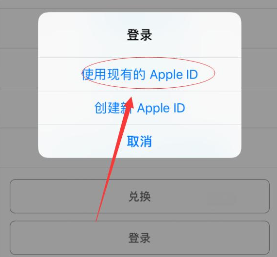 兴安苹果手机维修分享两台iPhone设备可以同时登录一个Apple ID吗 