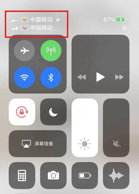 兴安苹果手机维修分享为 iPhone 12 双卡设置标签 