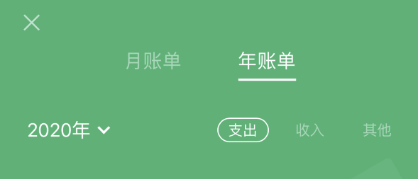 兴安苹果手机维修分享如何在 iPhone 上查看支付宝和微信年支出账单 